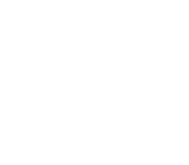 Walace Santos